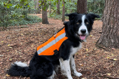 WhatsApp-Image-2023-11-01-at-22.43.42