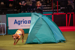 276012013_448717450365155_8685367805030257963_n